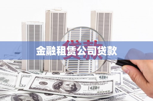 海南金融租赁公司贷款