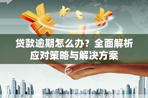 海南贷款逾期怎么办？全面解析应对策略与解决方案