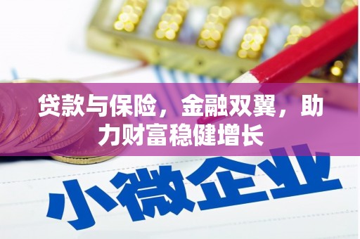 海南贷款与保险，金融双翼，助力财富稳健增长