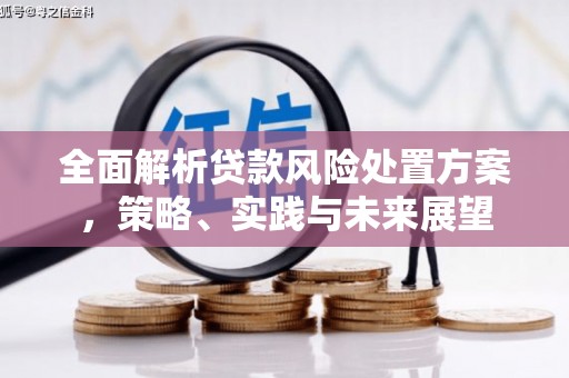 海南全面解析贷款风险处置方案，策略、实践与未来展望