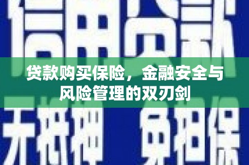 海南贷款购买保险，金融安全与风险管理的双刃剑