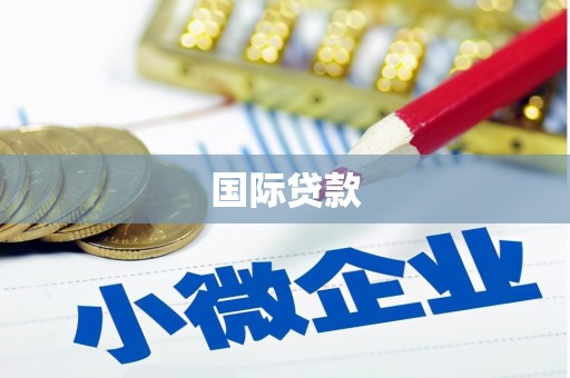 海南国际贷款