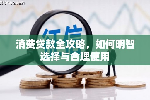 海南消费贷款全攻略，如何明智选择与合理使用