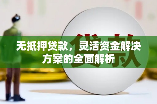 海南无抵押贷款，灵活资金解决方案的全面解析