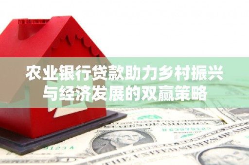海南农业银行贷款助力乡村振兴与经济发展的双赢策略