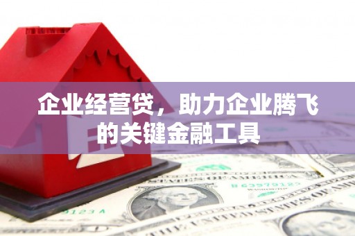 海南企业经营贷，助力企业腾飞的关键金融工具