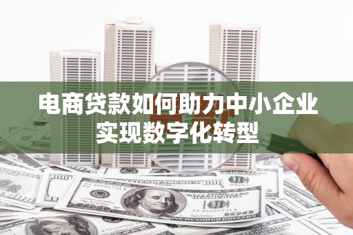 海南电商贷款如何助力中小企业实现数字化转型