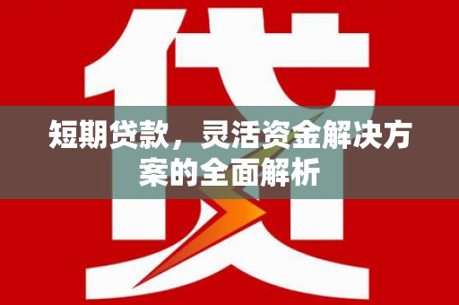 海南短期贷款，灵活资金解决方案的全面解析