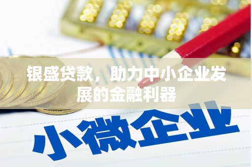 海南银盛贷款，助力中小企业发展的金融利器