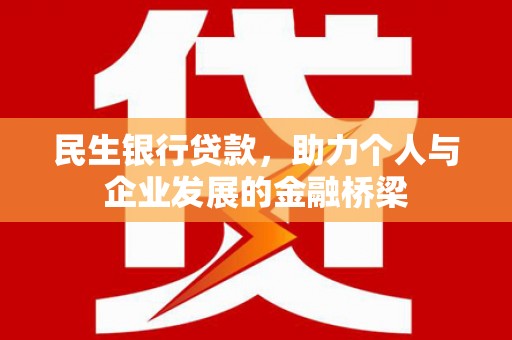 海南民生银行贷款，助力个人与企业发展的金融桥梁