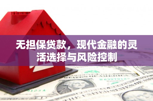 海南无担保贷款，现代金融的灵活选择与风险控制