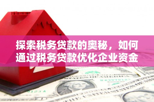 海南探索税务贷款的奥秘，如何通过税务贷款优化企业资金流