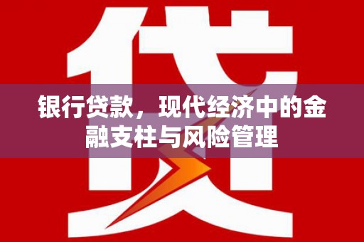 海南银行贷款，现代经济中的金融支柱与风险管理