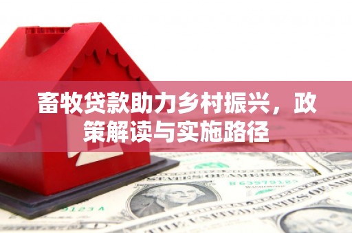 海南畜牧贷款助力乡村振兴，政策解读与实施路径
