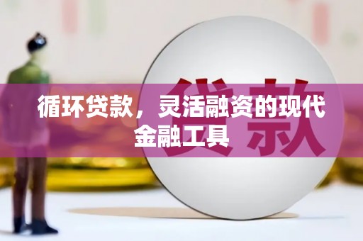 海南循环贷款，灵活融资的现代金融工具