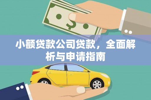 海南小额贷款公司贷款，全面解析与申请指南