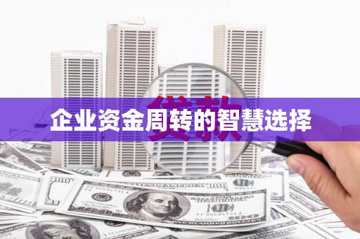 海南企业资金周转的智慧选择