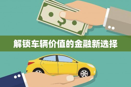海南解锁车辆价值的金融新选择