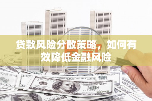 海南贷款风险分散策略，如何有效降低金融风险