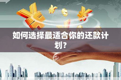 海南如何选择最适合你的还款计划？