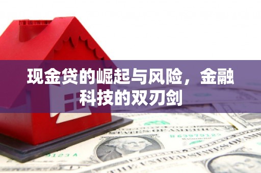 海南现金贷的崛起与风险，金融科技的双刃剑