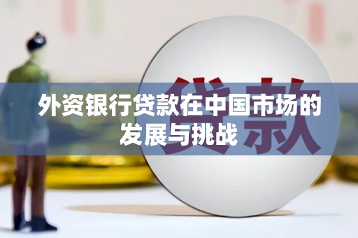 海南外资银行贷款在中国市场的发展与挑战