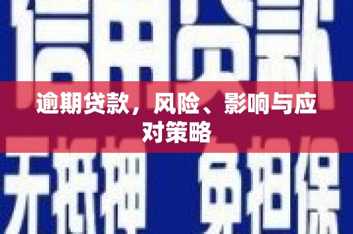 海南逾期贷款，风险、影响与应对策略
