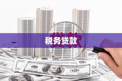 海南税务贷款