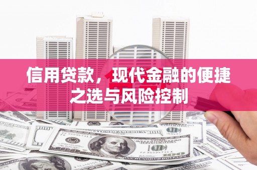 海南信用贷款，现代金融的便捷之选与风险控制