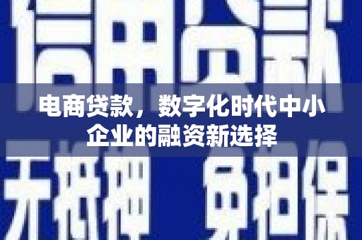 海南电商贷款，数字化时代中小企业的融资新选择
