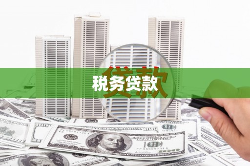 海南税务贷款