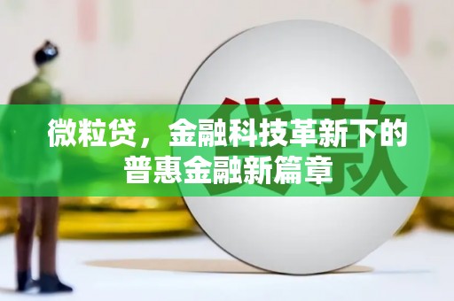 海南微粒贷，金融科技革新下的普惠金融新篇章