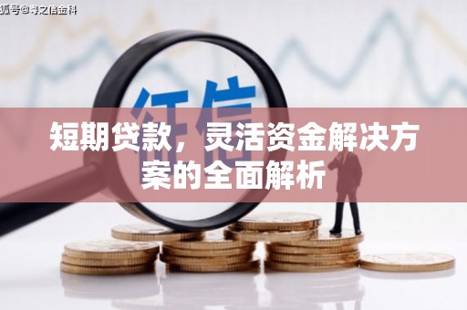 海南短期贷款，灵活资金解决方案的全面解析