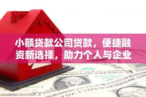 海南小额贷款公司贷款，便捷融资新选择，助力个人与企业成长