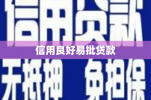 海南信用良好易批贷款
