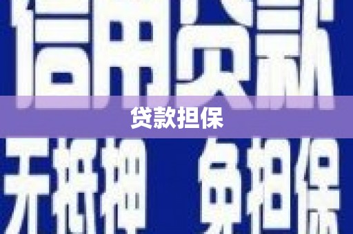 海南贷款担保