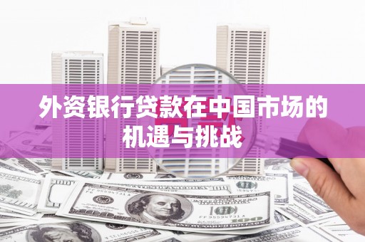 海南外资银行贷款在中国市场的机遇与挑战