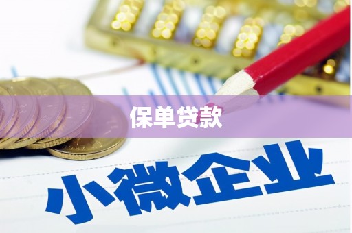 海南保单贷款