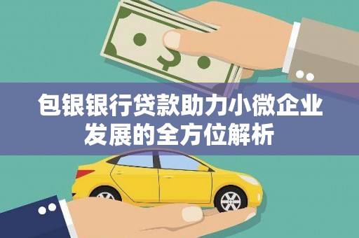海南包银银行贷款助力小微企业发展的全方位解析