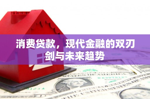 海南消费贷款，现代金融的双刃剑与未来趋势