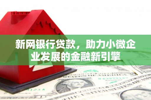海南新网银行贷款，助力小微企业发展的金融新引擎