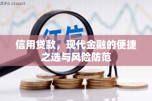 海南信用贷款，现代金融的便捷之选与风险防范