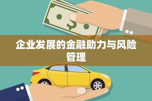 海南企业发展的金融助力与风险管理