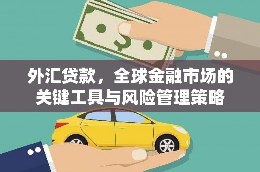 海南外汇贷款，全球金融市场的关键工具与风险管理策略