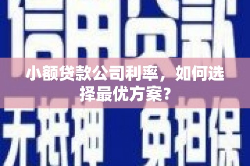 海南小额贷款公司利率，如何选择最优方案？