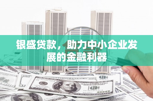 海南银盛贷款，助力中小企业发展的金融利器