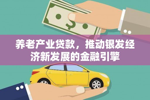 海南养老产业贷款，推动银发经济新发展的金融引擎