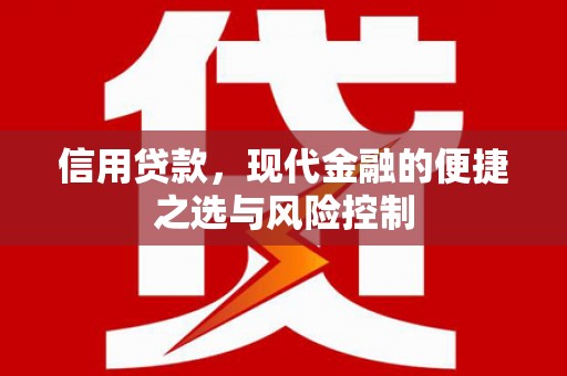 海南信用贷款，现代金融的便捷之选与风险控制