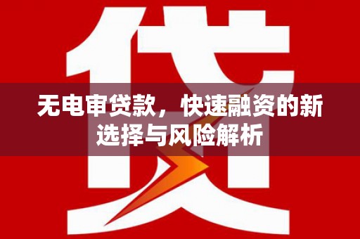 海南无电审贷款，快速融资的新选择与风险解析