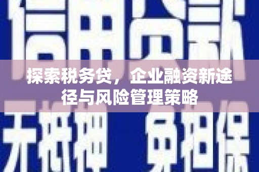 海南探索税务贷，企业融资新途径与风险管理策略